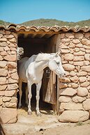 RANCH CAMPO