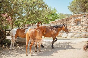 RANCH CAMPO