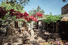 RANCH CAMPO