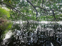 Cabañas Casa de Agua
