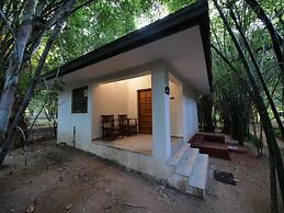 Bandhavgarh Meadows
