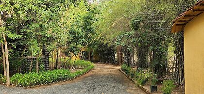 Bandhavgarh Meadows