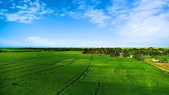 Avonil Resort  Yala