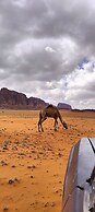 desert roze