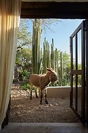 Sagrada Holistic Ranch