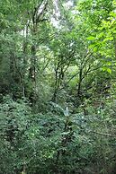 Casitas Vista Verde