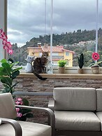 B&B La Terrazza