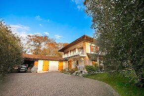 Albadros Ulive Nest