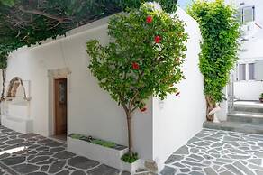 Pelican Paros