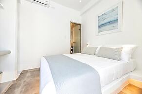Pelican Paros