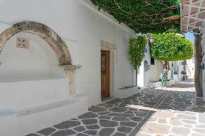 Pelican Paros