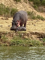 Tabingi Safari Lodge