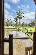 Tiny ECO Bamboo Ubud