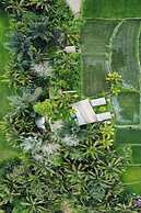 Tiny ECO Bamboo Ubud