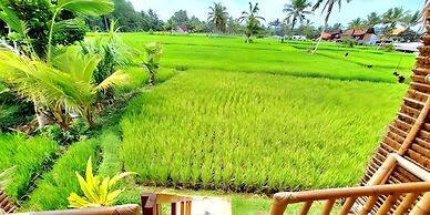 Tiny ECO Bamboo Ubud