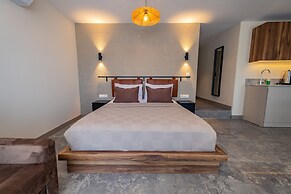 BD SUITES