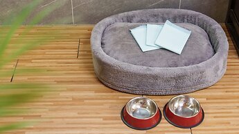 Gapyeong Jmong Choncance&camping Pension