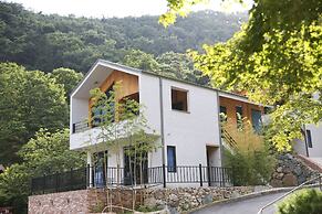 DAMYANG LISAFOREST VILLAGE