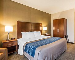 HOTEL VIP 46 SSQS