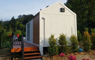 The Pubpa Backyard
