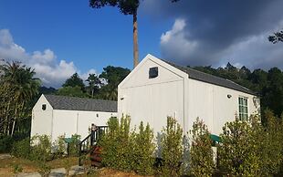 The Pubpa Backyard