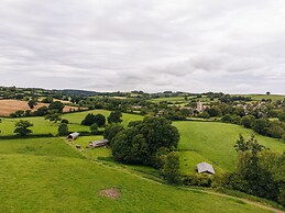 Oak
