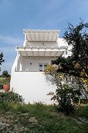 Phoenicia Naxos