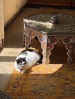 Riad Oasis d'Asilah
