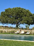Quinta Baltazar