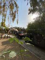 Glamping Resort