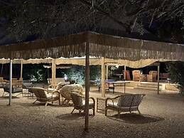 Glamping Resort