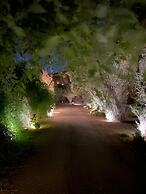 Glamping Resort