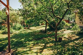 Marta 8 - House & Garden