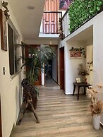 Casa Grey