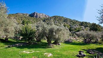 Finca Es Castell