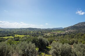 Finca Es Castell