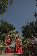 Monteverdi Tuscany