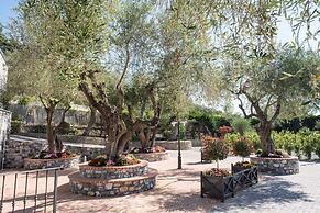VILLAGGIO EDY