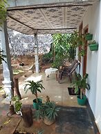 Elephant Safari Lodge