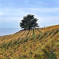domaine du deven