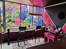 Casa Maguey