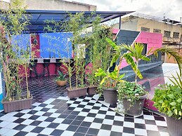 Casa Maguey