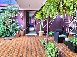 Casa Maguey