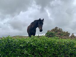 Ventry Farm Cottages