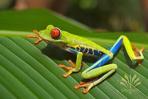 Bambutel