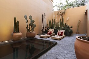 Macondo Arte Oaxaca