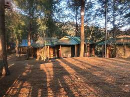 Pinewood Nirvana
