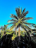 Hotel Villas Ponto Holbox