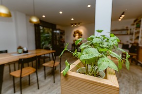 Cloud 9 Garden
