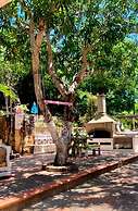 villa mohana